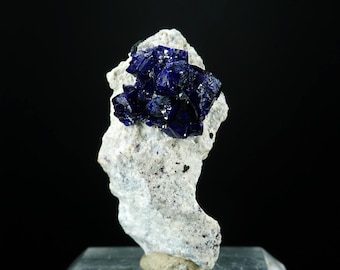 Azurite / Milpillas Mine, Mexico / Mineral Crystal Perky Box Specimen