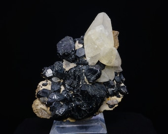 Calcite on Sphalerite / Pitcher Field, Oklahoma / Mineral Specimen