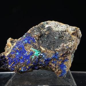 Azurite & Aurichalcite / Hidden Treasure Mine, Utah / Cabinet Mineral Crystal Specimen