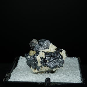 Rutile Paramorph after Brookite on Pyrite / Mo-Ti Mine, Magnet Cove, Arkansas / Rare Thumbnail Mineral Specimen Perky Box