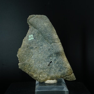 May include: A dark gray, irregularly shaped rock with a rough, textured surface. The rock has a number "12" written on it in green.