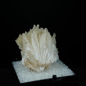 May include: A cluster of white, needle-like crystals arranged in a fan shape. The crystals are translucent and have a slightly off-white color. The cluster is displayed on a white, textured surface.