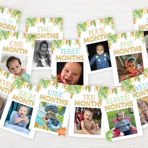 EDITABLE Dinosaur Monthly Birthday Banner, Printable First Birthday Photos, 1st Birthday Picture Sign, Dino Birthday Decor, Instant Download