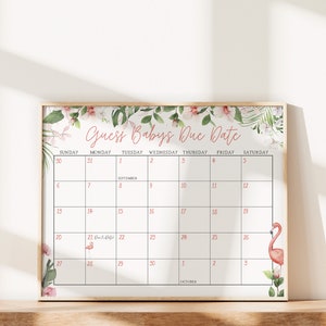 EDITIERBARE Guess Baby Fälligkeitskalender, Tropical Flamingo Duschbrett, Hawaii Poster, Insel Fälligkeitskalender, Sofortiger Download