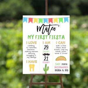 EDITABLE Taco Bout One Birthday Board, Fiesta Poster, Taco Birthday Milestone Board, First Birthday Stats, 1st Birthday, Instant Download