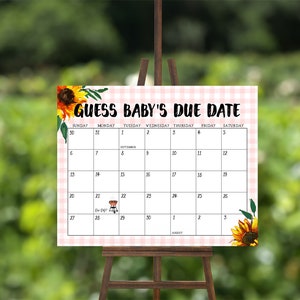 EDITIERBARE Guess Baby Fälligkeitskalender, BBQ Baby Shower Board, rosa Baby-Q Poster, Sonnenblume Fälligkeitskalender, Sofortiger Download