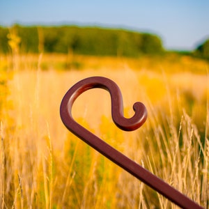 Shepherd's Staff Nature-inspired Design Rustic Wooden Custom Carved ...