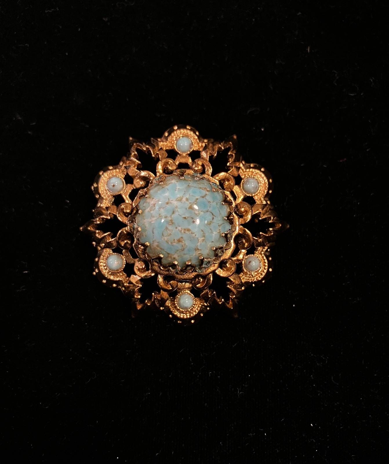 Robin's Egg Brooch - Etsy