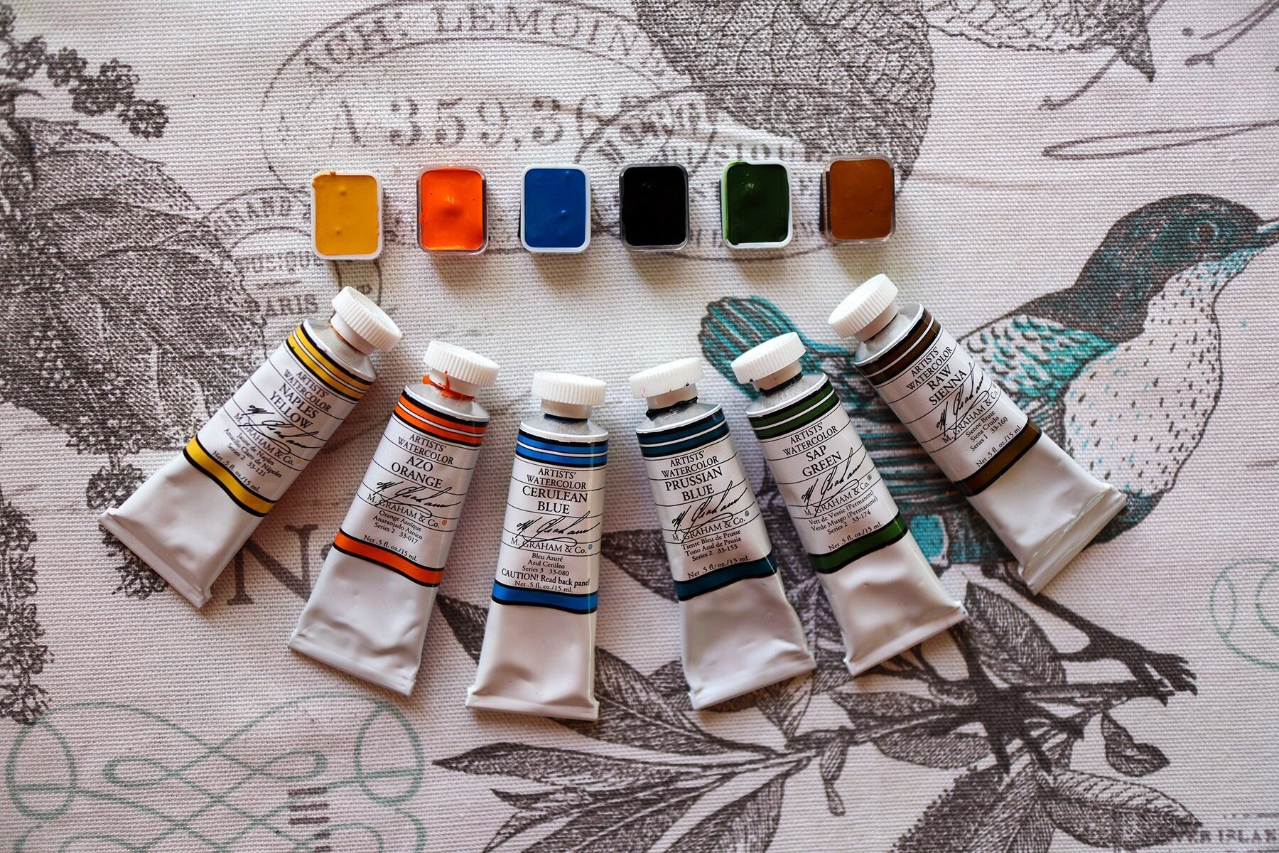 M. Graham Intermediate 10 Color Watercolor Set 