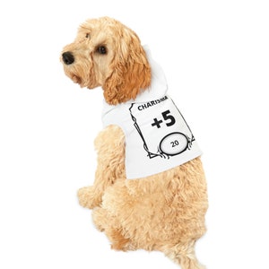 May include: A light brown dog wearing a white hoodie with the word "CHARISMA" and the number "+5" printed on the back. Below the number is the number "20" inside an oval. The dog is sitting and looking to the left.