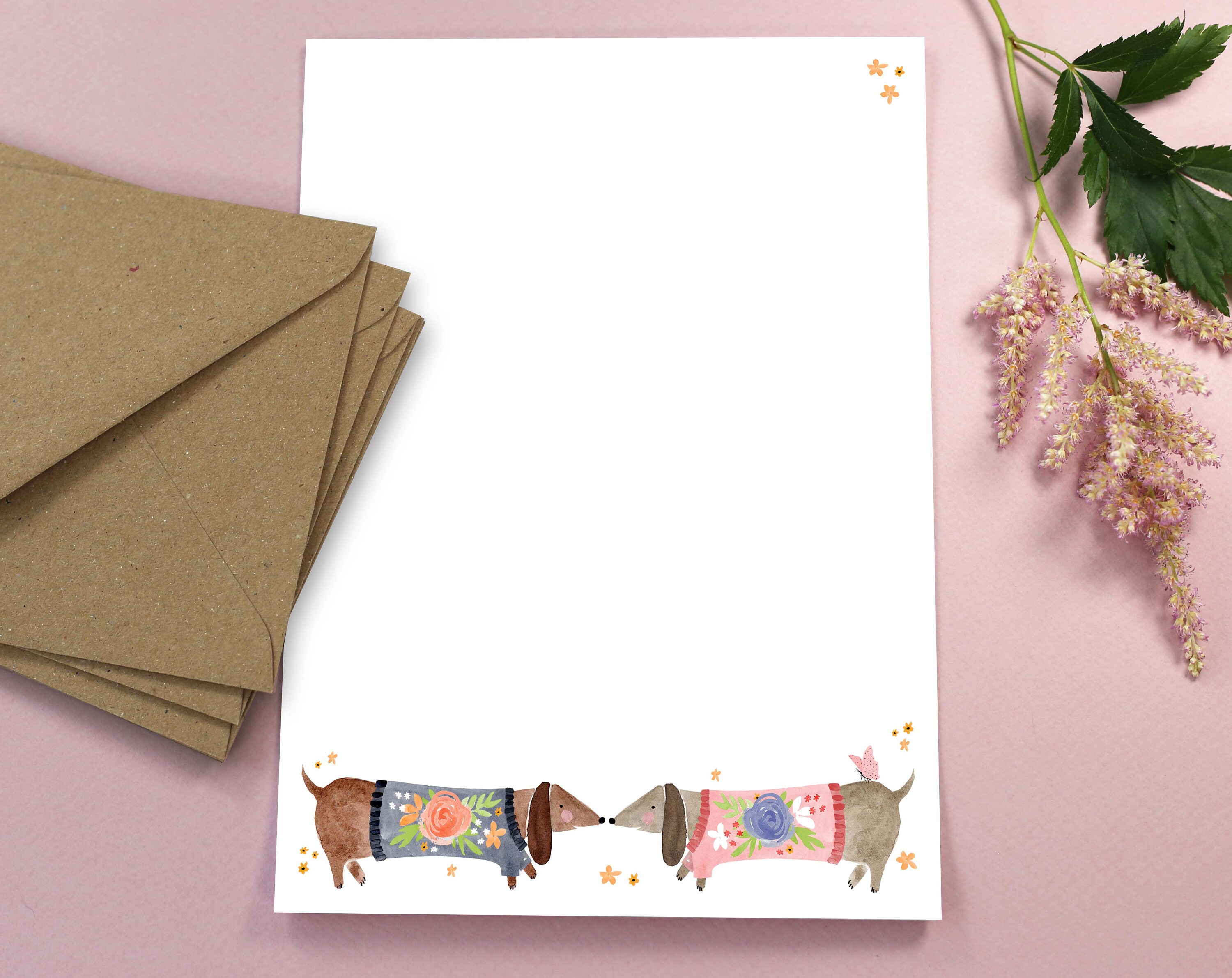 Rabbit dachshund picture