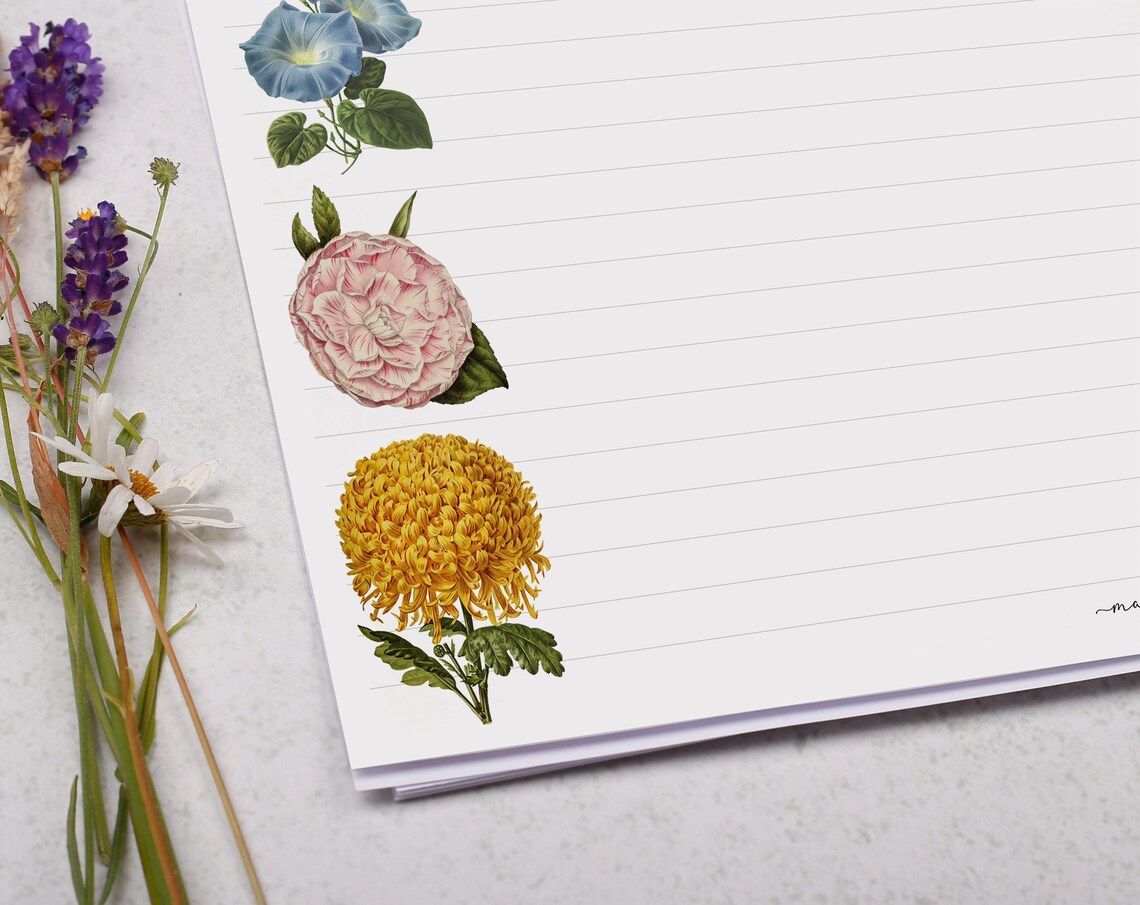 A4 Landscape Letter Writing Paper With Vintage Flower - Lined or ...