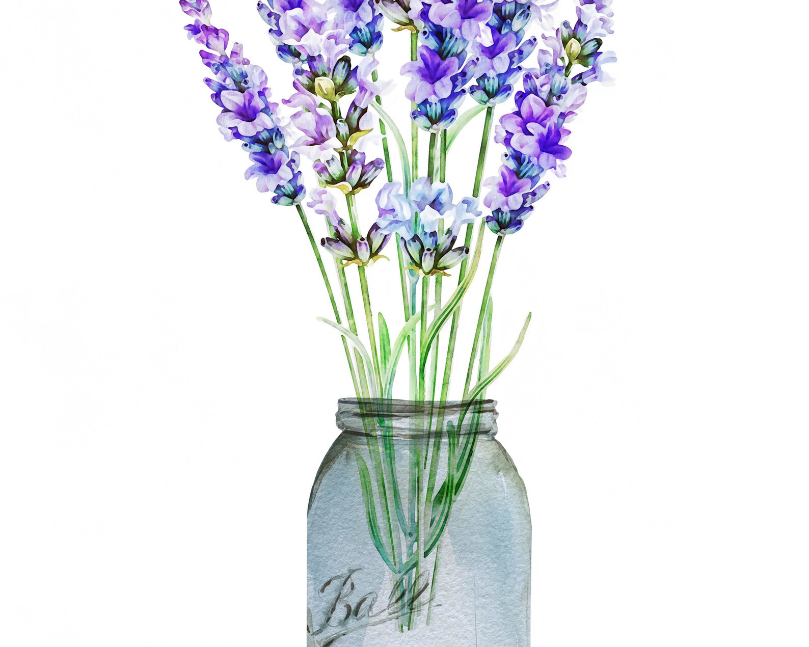 Lavender Watercolor Lavender Wall Art Lavender Flowers Etsy