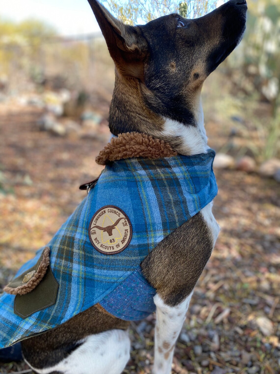 Vintage Pendleton Dog Jacket Custom Dog Jacket Wool Plaid Etsy