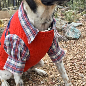 Flannel dog sweater hotsell