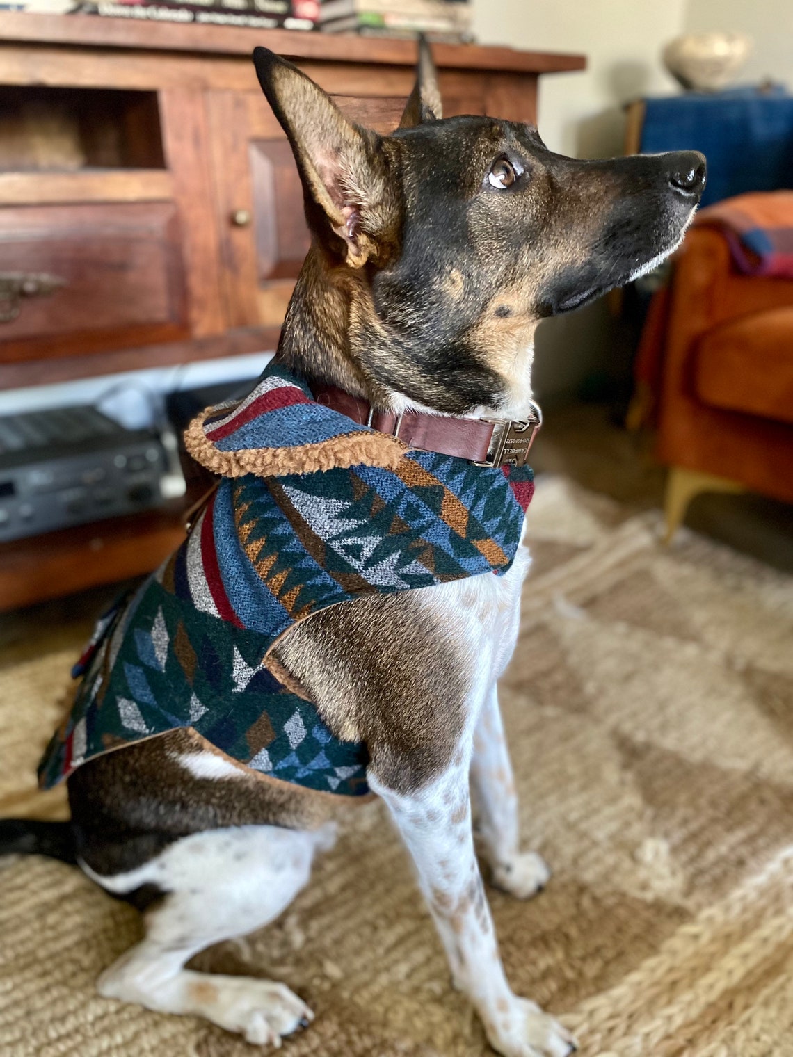 Southwest dog jacket vintage wool dog jacket outdoor dog Etsy