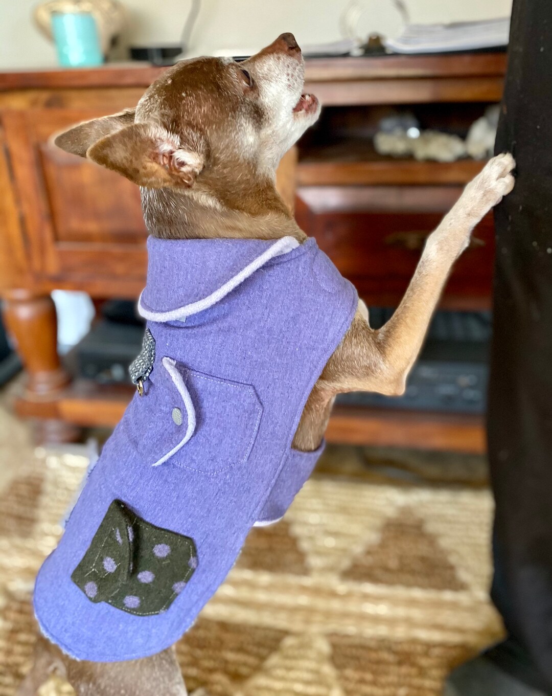 Luxury Dog Jacket, Wool Dog Jacket, Vintage Wool Dog Jacket, Bespoke