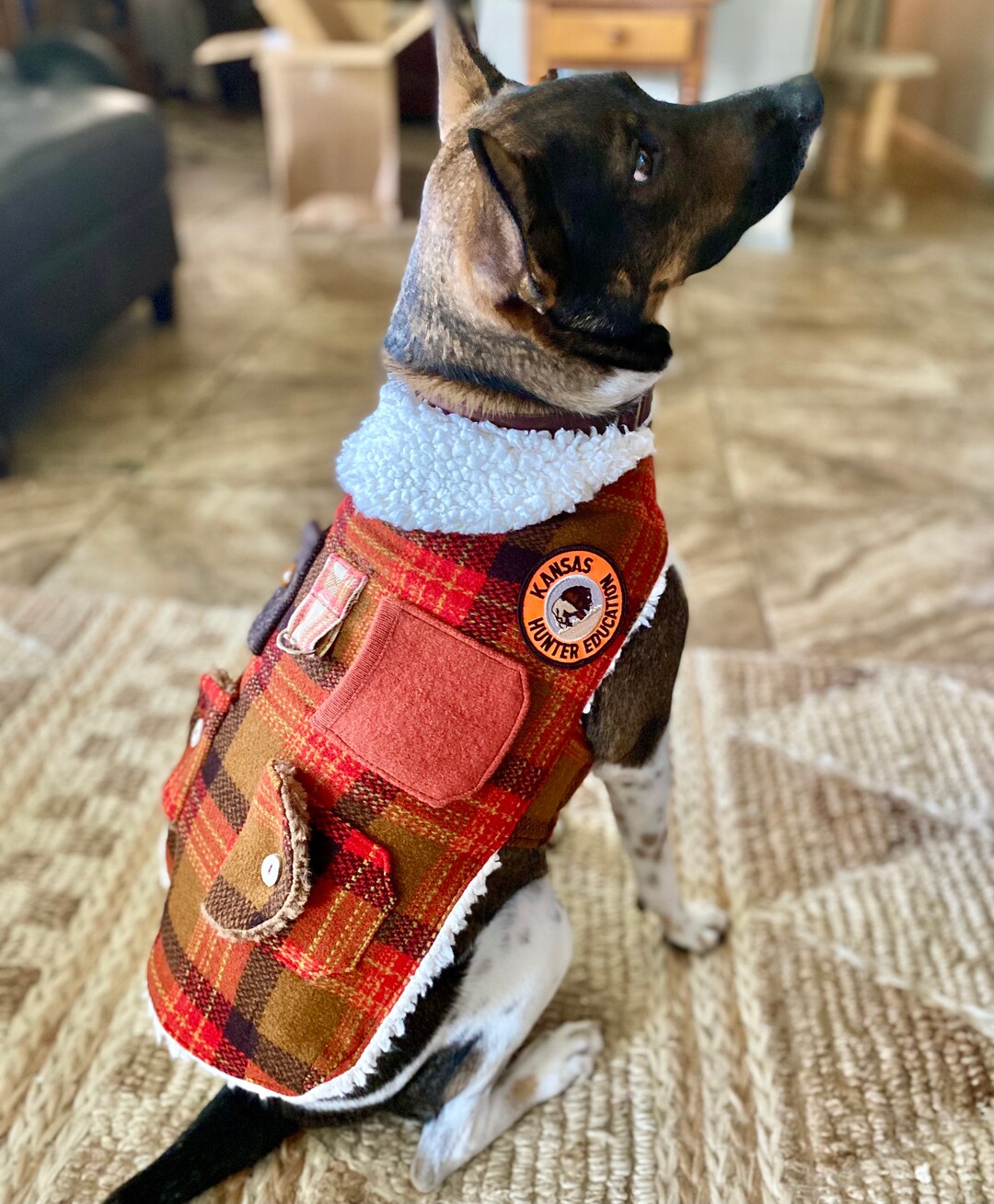 Bespoke Dog Jacket, Vintage Wool Dog Jacket, Outdoor Dog Harness