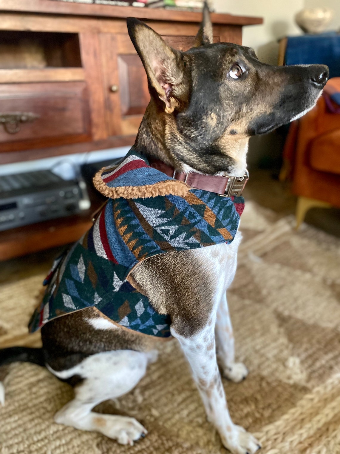 Southwest dog jacket vintage wool dog jacket outdoor dog Etsy