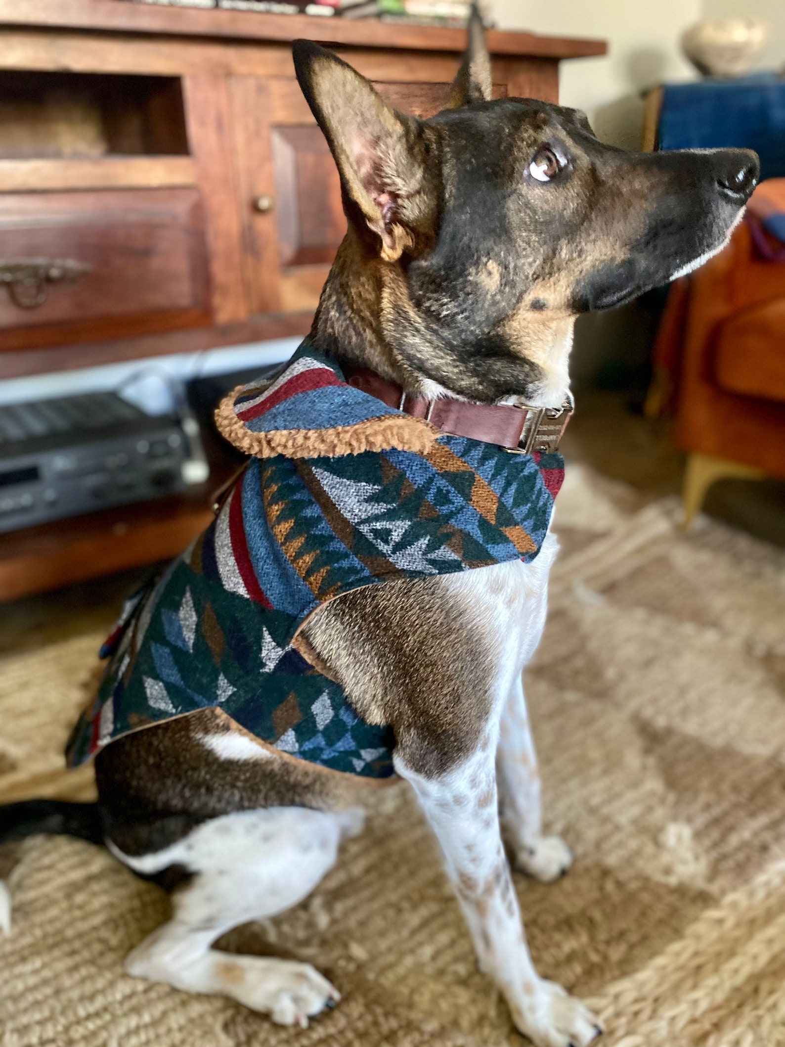 Southwest Dog Jacket Vintage Wool Dog Jacket Outdoor Dog Etsy