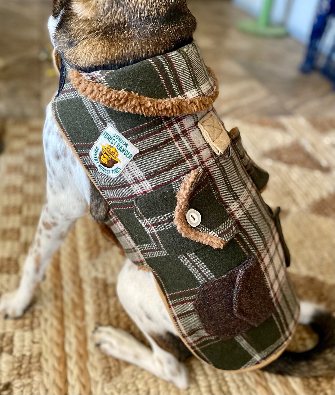 Vintage Wool Dog Jacket, Plaid Dog Jacket, Bespoke Dog Clothes, Dog