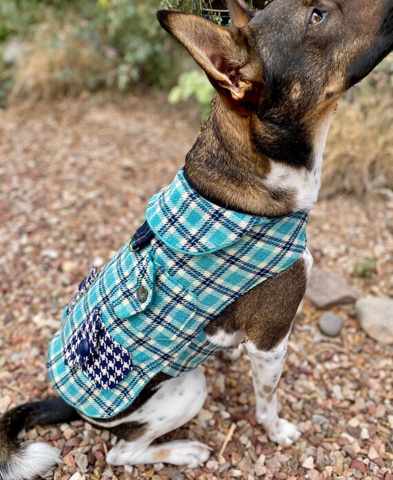 Expensive top dog clothes