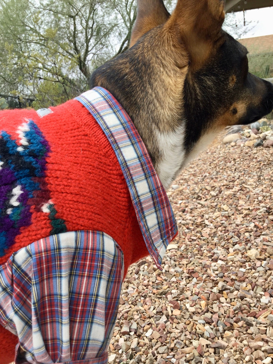 Upcycled Dog Sweater Wool Dog Sweater Vintage Woolrich Dog Etsy