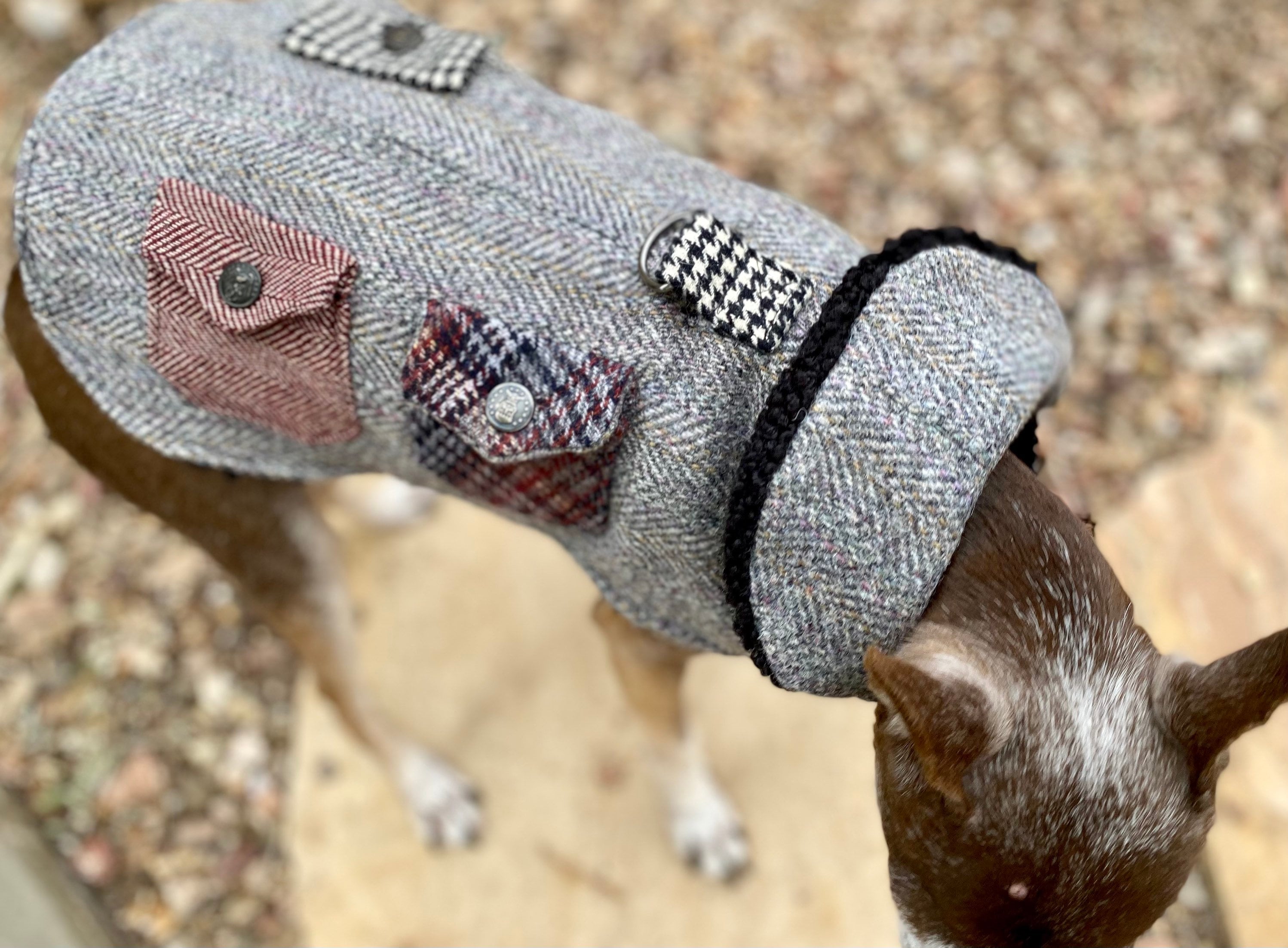 Bth pet clearance supplies