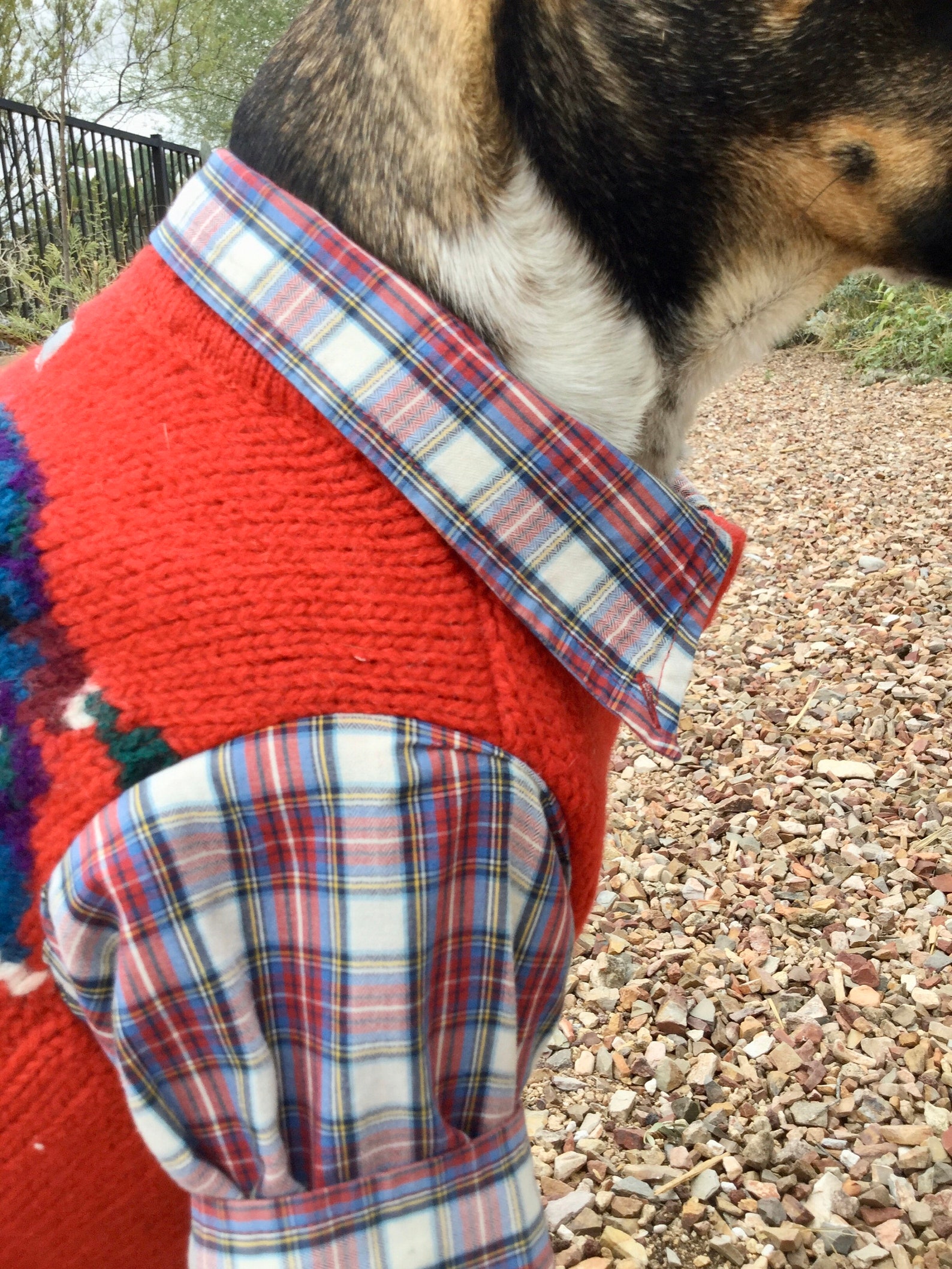 Upcycled Dog Sweater Wool Dog Sweater Vintage Woolrich Dog Etsy