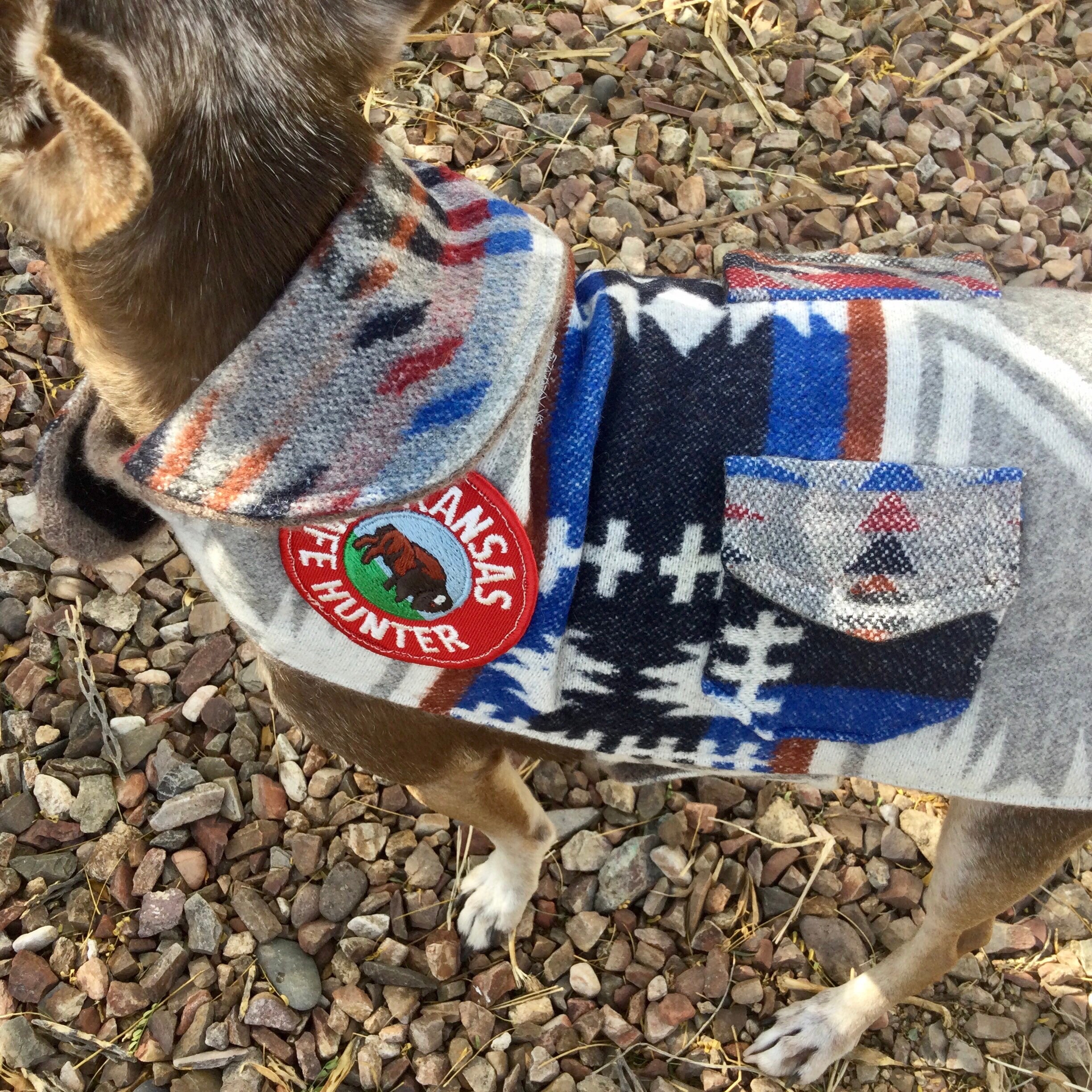 Luxury dog jacket Wool dog jacket Southwest dog jacket Etsy