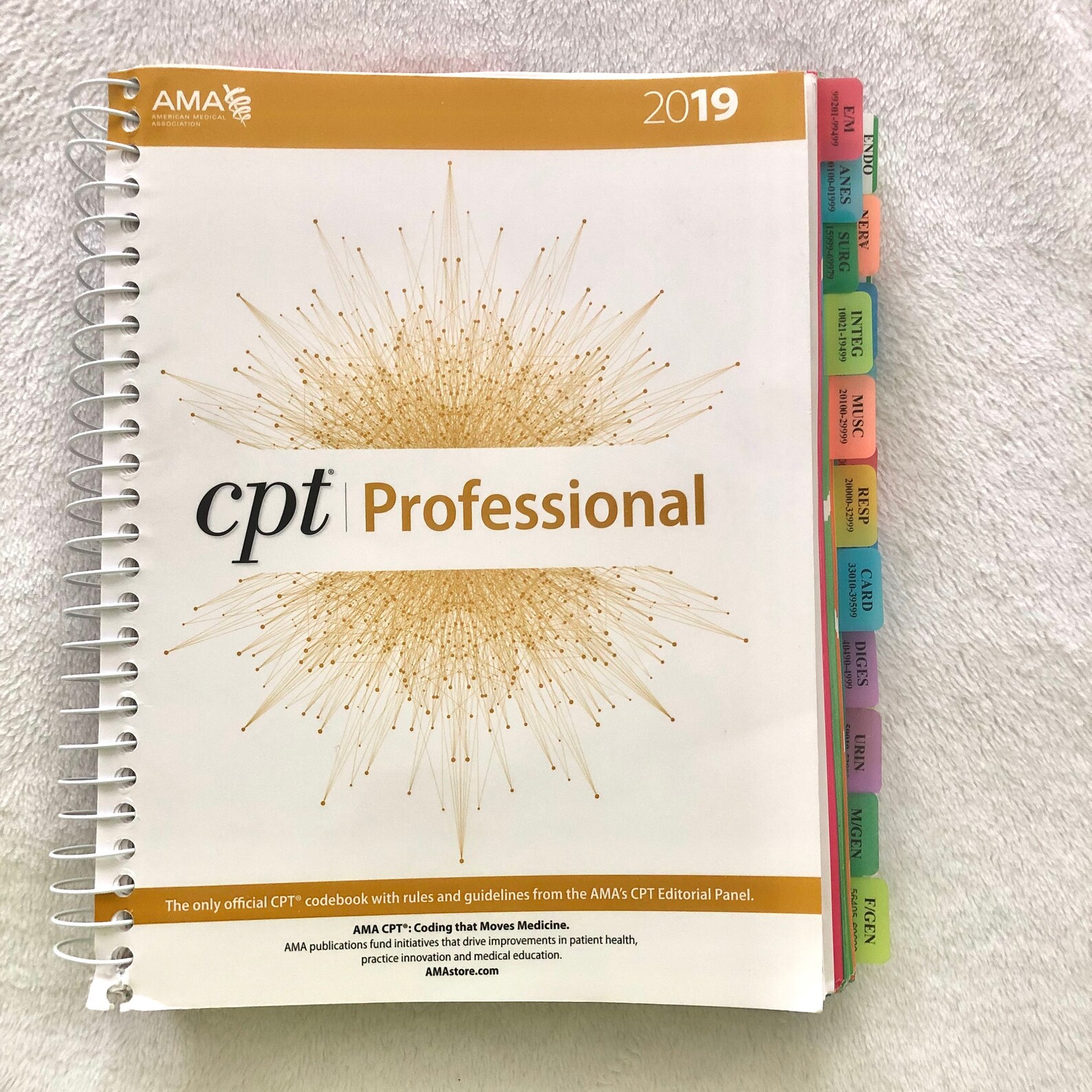 Tab System CPT Professional 2019 Etsy