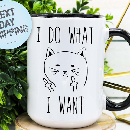 Funny Cat Mug Cat Lover Gift I Do What I Want | Etsy