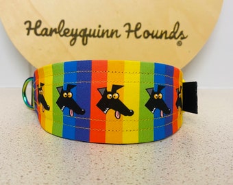 Rainbow Derp Richard Skipworth Martingale Collar