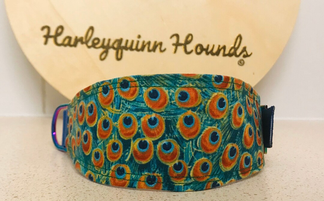 Peacock Whippet or Greyhound Martingale Collar Etsy
