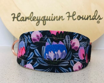 Duchess Proteas Floral Martingale Dog Collar/ Whippet Greyhound and Italian Greyhound sizes.