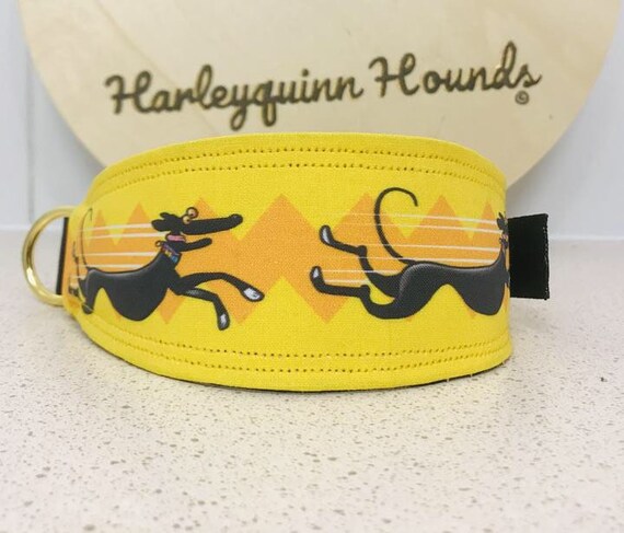 Richard skipworth greyhound collar 2025