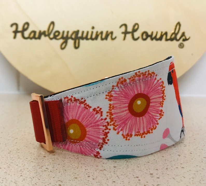 Australian Wildlife Eclectus Parrot Whippet or greyhound Martingale dog collar