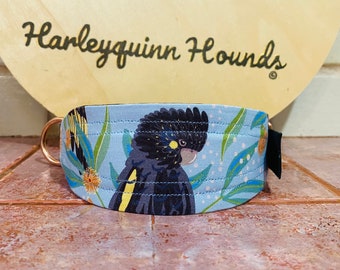 Australian Wildlife Black Cockatoo Martingale dog collar