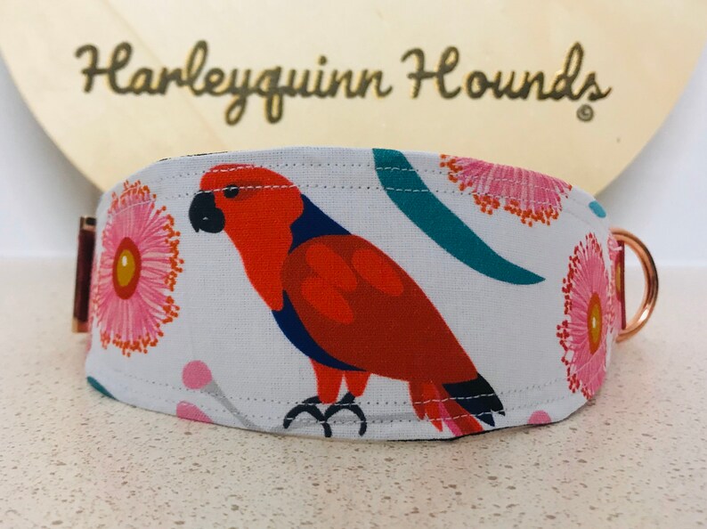 Australian Wildlife Eclectus Parrot Whippet or greyhound Martingale dog collar