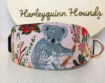 Australian Wildlife Koala Whippet  or greyhound Martingale dog collar