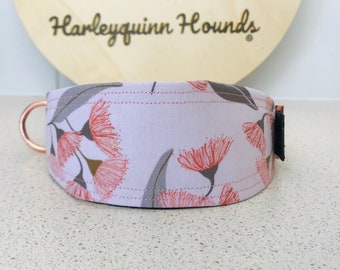 Australian Eucalyptus Blossom Pink Whippet  or greyhound Martingale dog collar