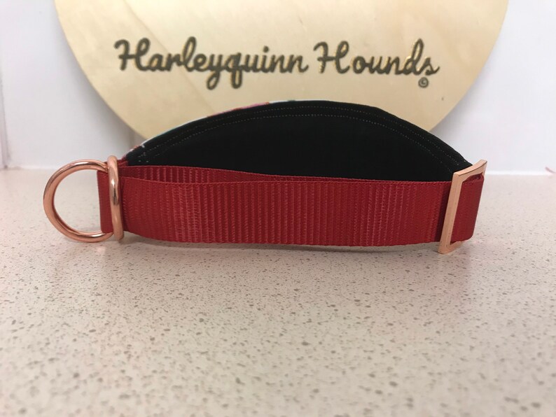 Australian Wildlife Eclectus Parrot Whippet or greyhound Martingale dog collar