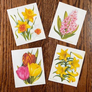 4 Vintage Blumen Blanko Karten, Aktuelle Grußkarten, Blumen Karten, Blumen Grußkarte, Blank Grußkarten, Wildblumen Grußkarte