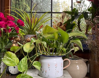 Prijsdaling! Vtg/antieke chippy emaille bloemen kamer pot, cottage keuken, kamer pot, emaille pot, antieke boerderij, emaille kamer pot