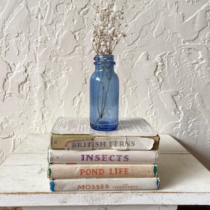 May include: A stack of vintage books with titles including "British Ferns," "Insects," and "Pond Life" is topped with a small blue glass bottle holding dried flowers. The books rest on a white, distressed wooden surface.