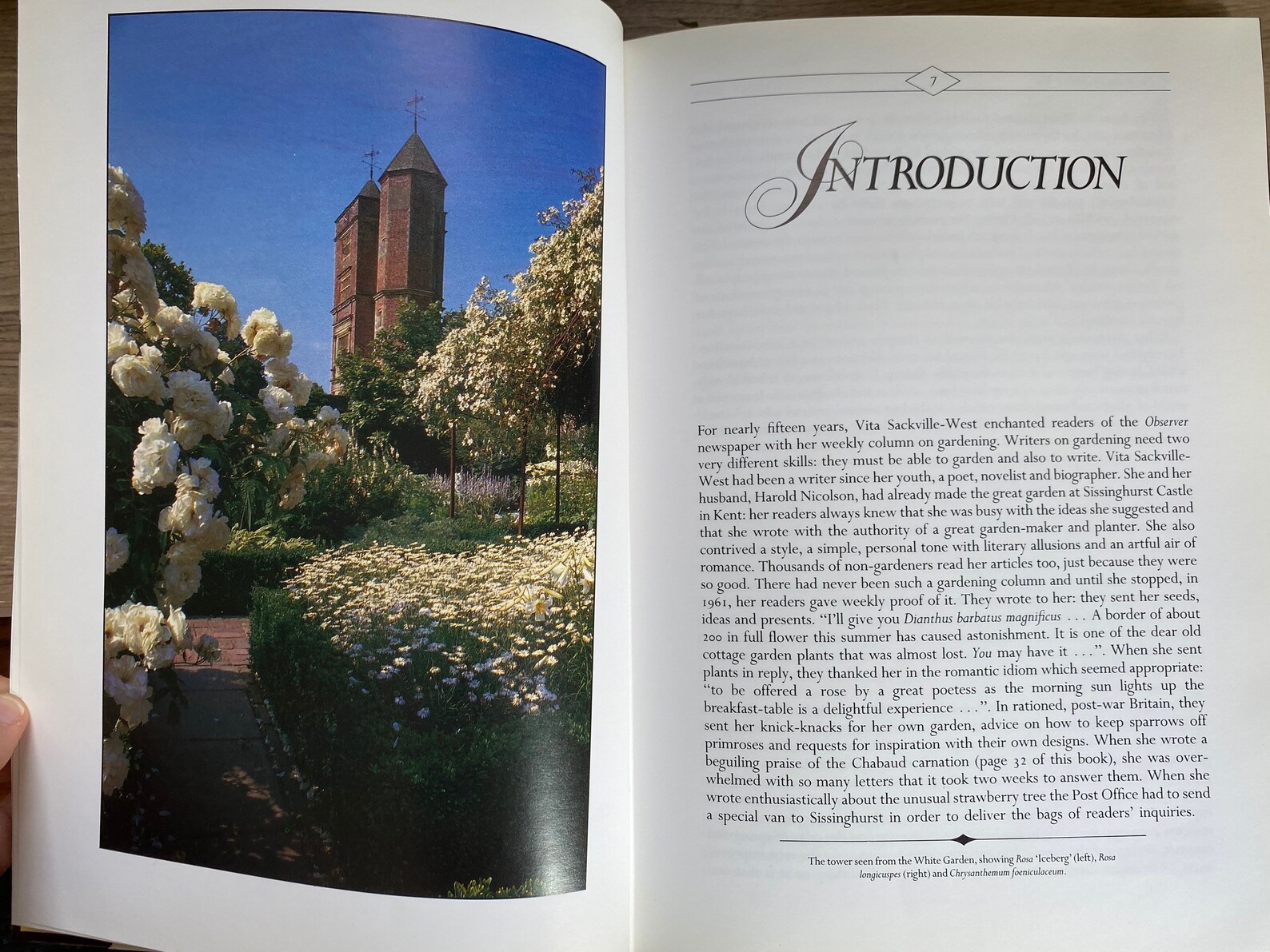 1987 V.sackvillewest the Illustrated Garden Book Robin Lane Etsy