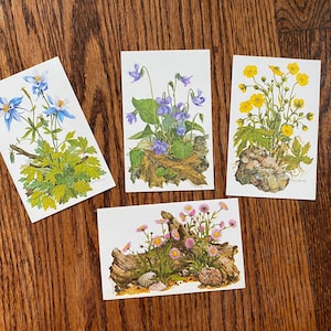 4 cartões vintage em branco com flores silvestres, cartões comemorativos atuais, cartões de flores, cartão comemorativo com flores, cartões comemorativos em branco, cartão comemorativo com flores silvestres