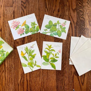 4 biglietti d'auguri vintage con erbe aromatiche, biglietti d'auguri attuali, biglietti con fiori, biglietto d'auguri con fiori, biglietti d'auguri vuoti, biglietto d'auguri con fiori di campo