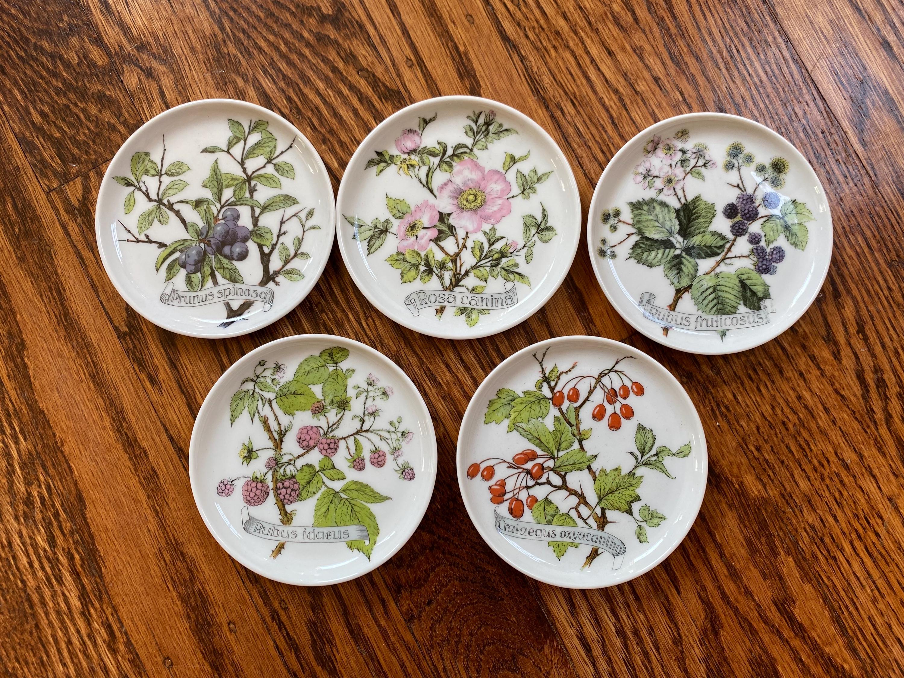 Kaiser Plates - Etsy