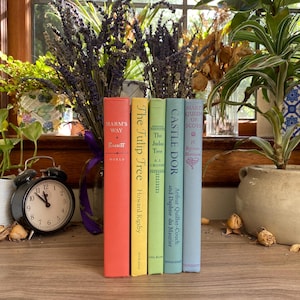 1960er Jahre Regenbogen Bücherset, Regenbogenbücher, Vintage Bücher, Vintage Bücherset, Büchersets und Sammlungen, Dekorative Bücher,